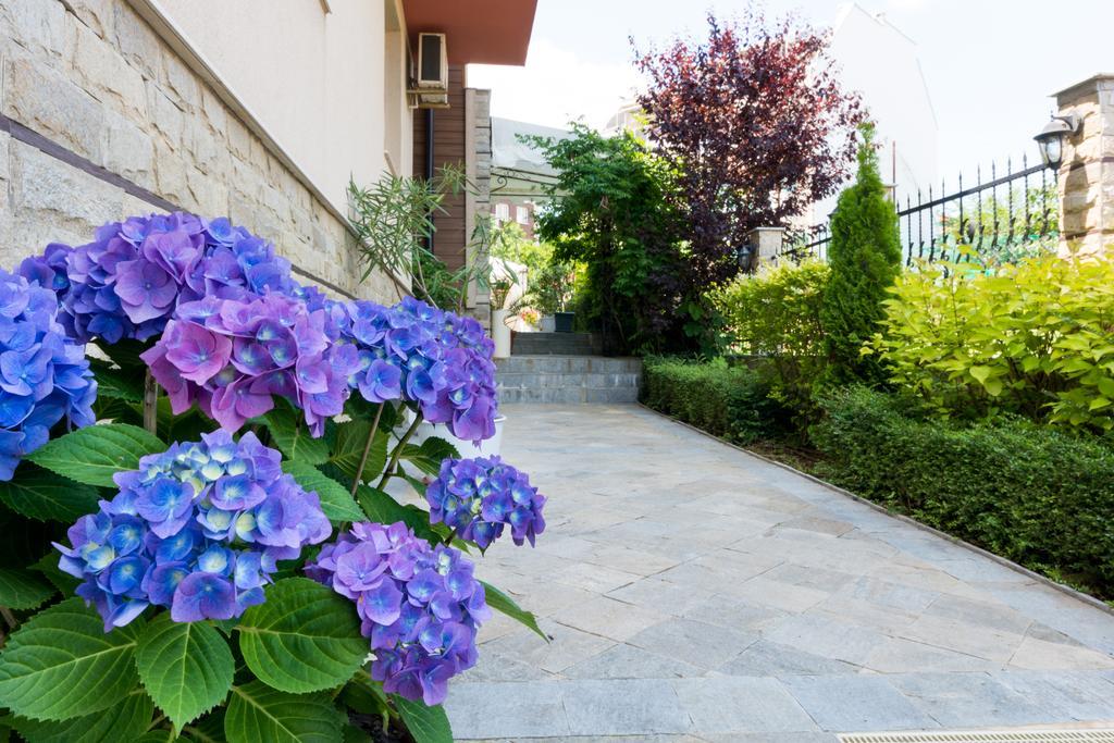 Siena House Sozopol Exterior foto